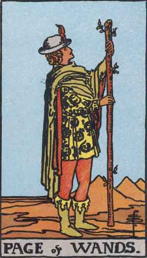 page of wands tarot card