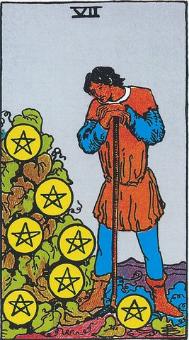 seven of pentacles tarot card